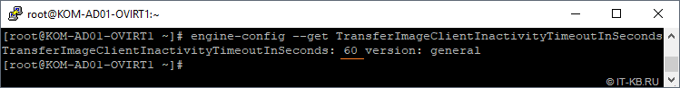 engine-config get TransferImageClientInactivityTimeoutInSeconds