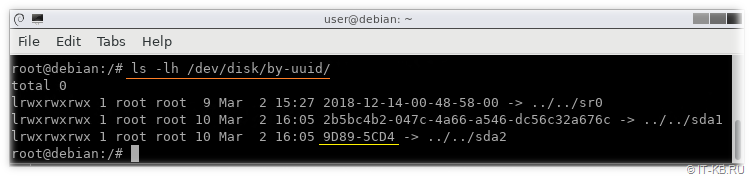 Linux get disk UUID