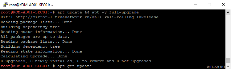 Kali Linux Upgrade