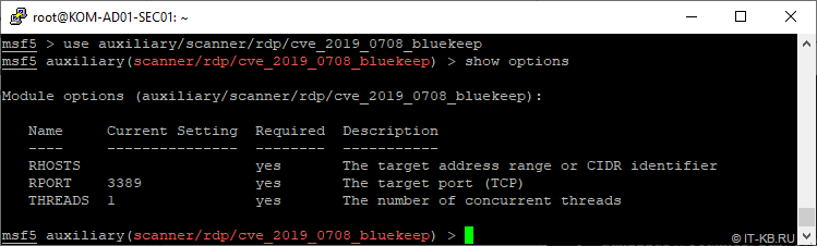 Connect to bluekeep scanner in msfconsole