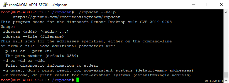 Run rdpscan tool in Kali Linux