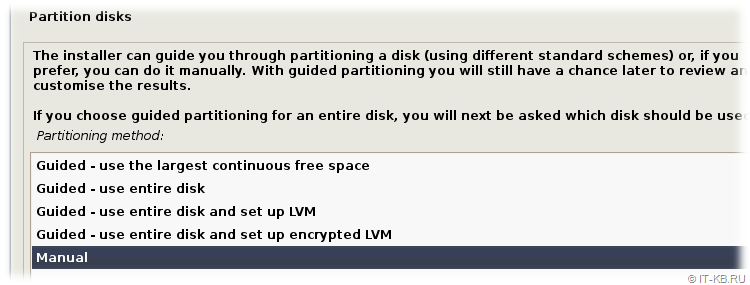 Debian Buster Installation - Manual Partition disks