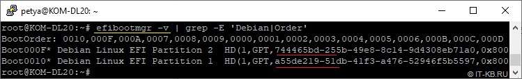 Check bad items with Debian ESP in EFI Boot Manager