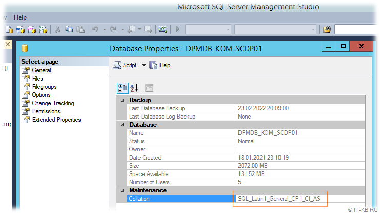 Check SQL Server DPM Database Collation