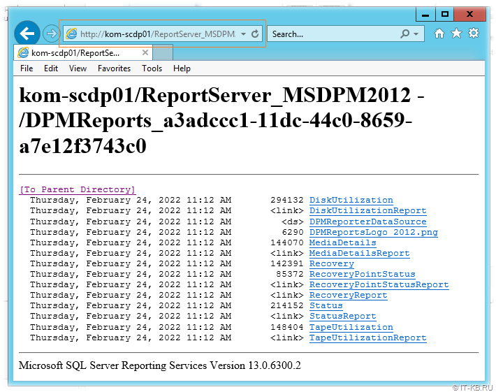 Run SQL reports from ReportServer MSDPM2012