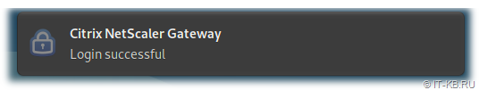 Citrix Netscaler Gateway Client Login successful