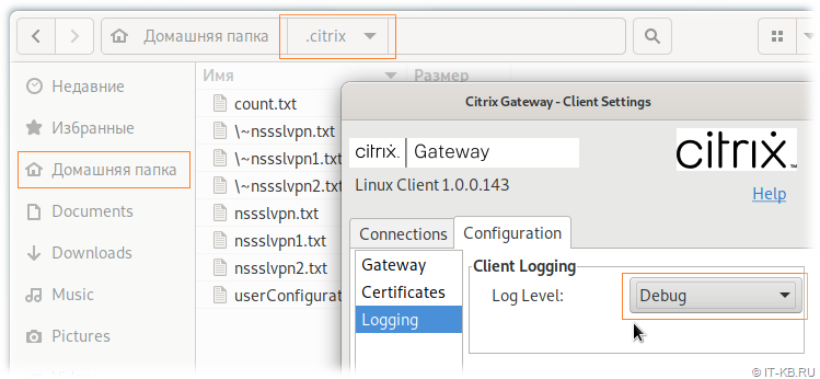 Citrix Gateway Client Logging Configuration in Linux