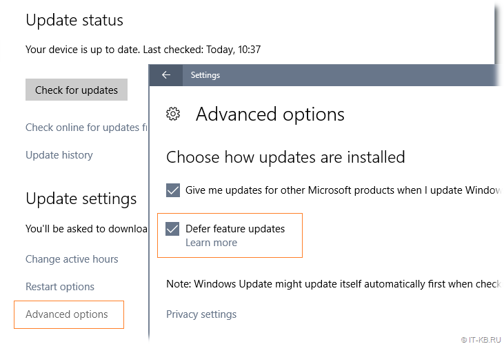 Defer feature updates option in Windows Update Advanced options in Windows Server 2016