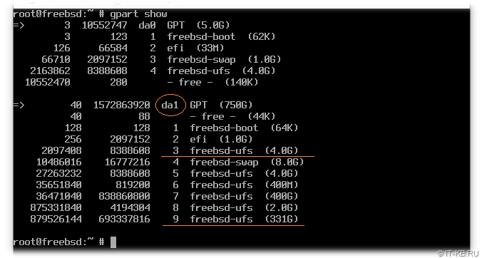 Get list of AsyncOS disk partitions in FreeBSD