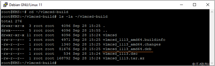 Build deb package for KMS server vlmcsd in Debian 11