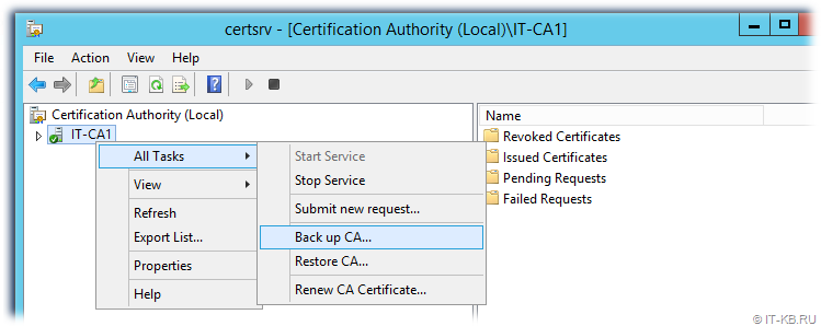 Certification Authority - Back up CA