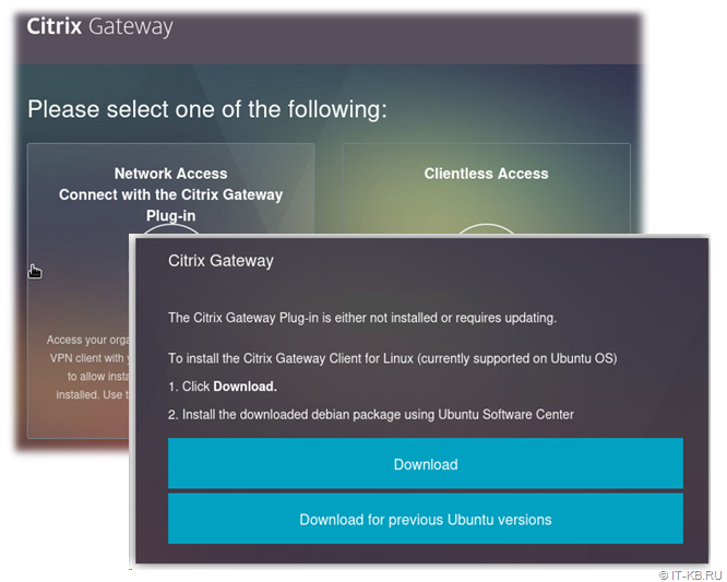 Citrix NetScaler Gateway - Network Access Connect with the Citrix Gateway Plug-In