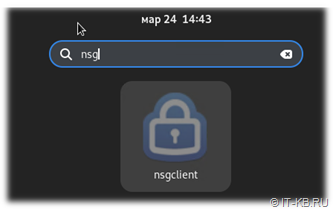 nsgclient - Citrix Secure Access Client in Gnome Applications menu