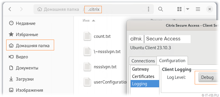 Citrix Secure Access Client (NetScaler Gateway Client) on Debian 12 Linux - Logging Configuration