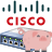 Cisco Small Business switches and thousands of queries to the DNS server