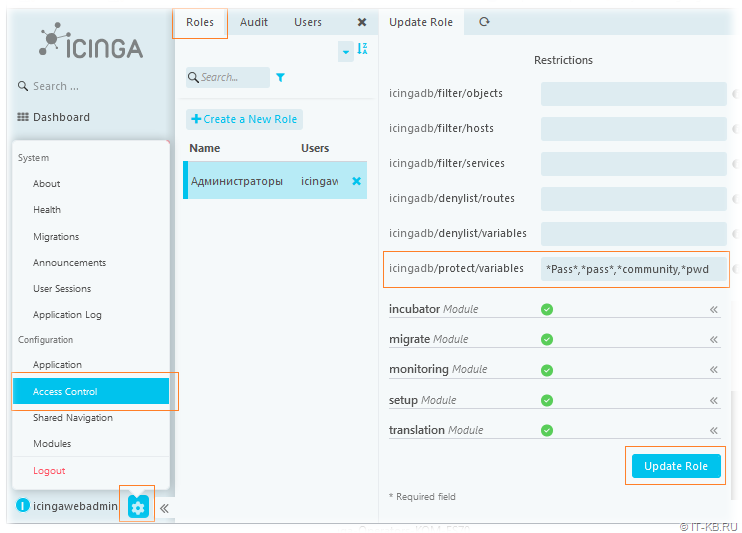 Hiding passwords in Icinga Web 2 using the Access Control setting for the Icinga DB module