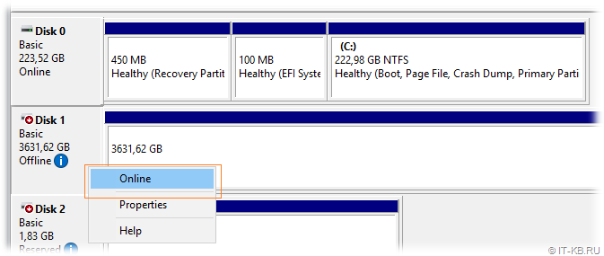 Bringing Disks Online in Windows Server Disk Manager