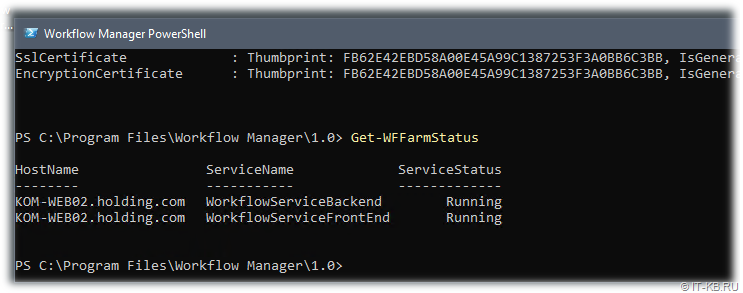 Checking Workflow Manager Status with the Get-WFFarmStatus PowerShell Cmdlet