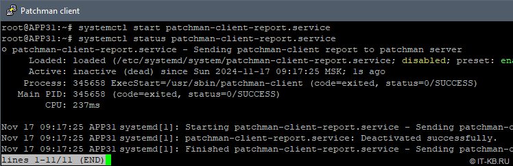 systemctl status patchman-client-report.service