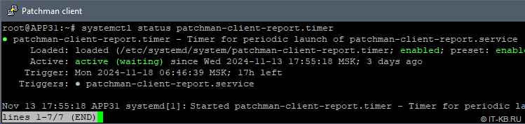 systemctl status patchman-client-report.timer