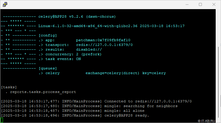 Launching a celery worker for the report processing queue in patchman